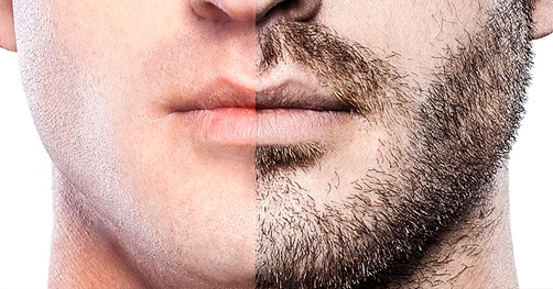 barba
